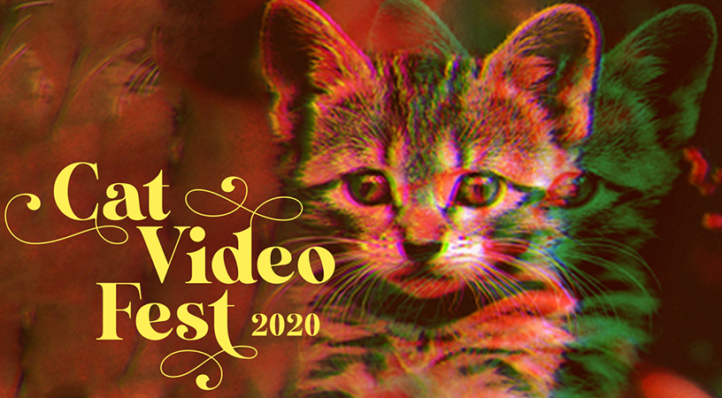 Still image from CatVideoFest 2020.